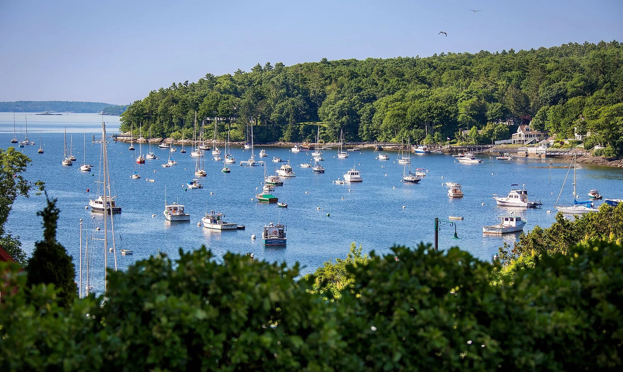 Coast of Maine